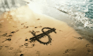 money sign written in sand at beach