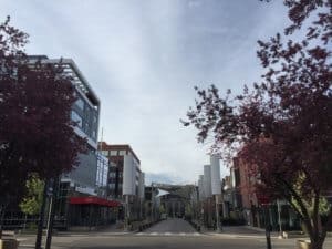 Cherry Creek in Denver