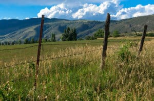 First Western Trust Northern Colorado hero