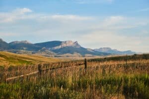Open Fields in Montana